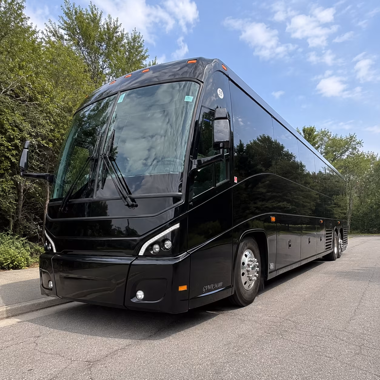 new rochelle birthday party transportation