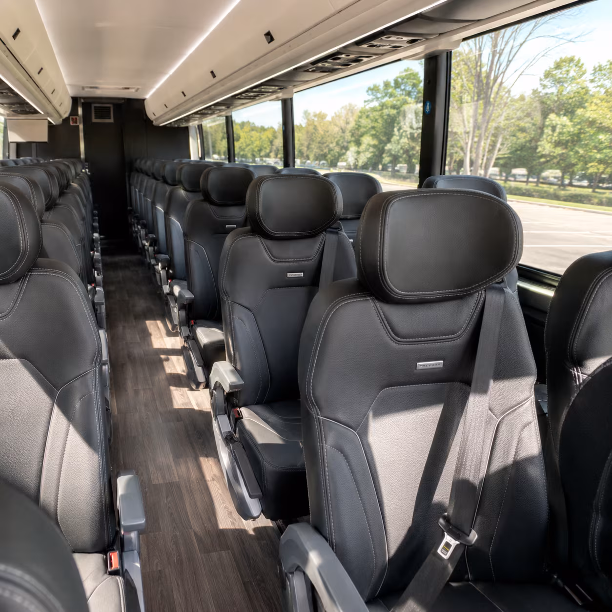 new rochelle bus interior 2